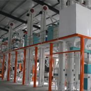 50~100TPD 玉米加工機(jī)組